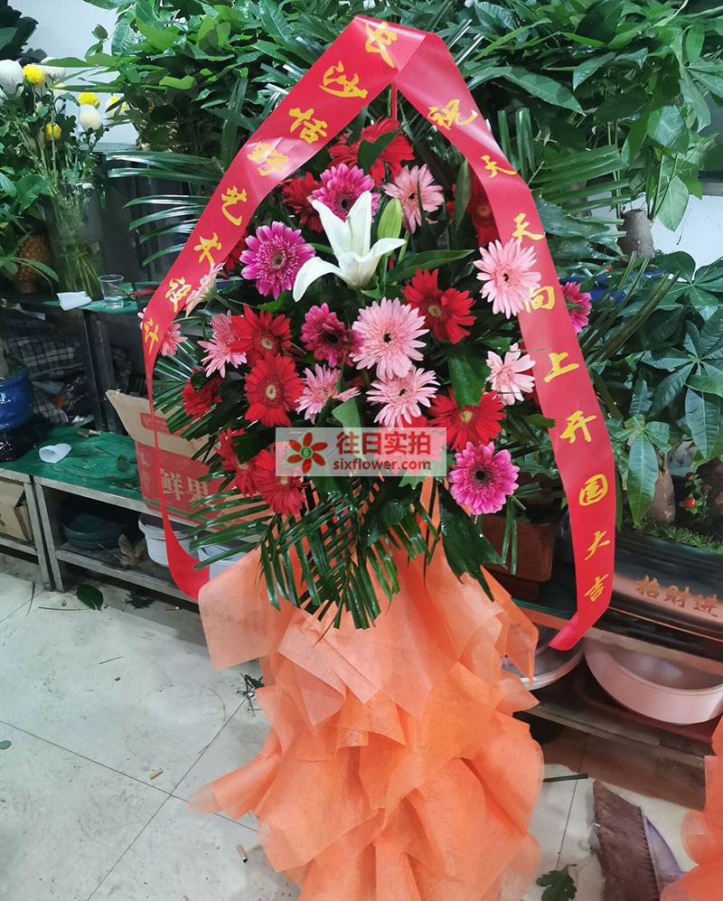 微信花篮回收方法有哪些(微信花蓝图片大全)