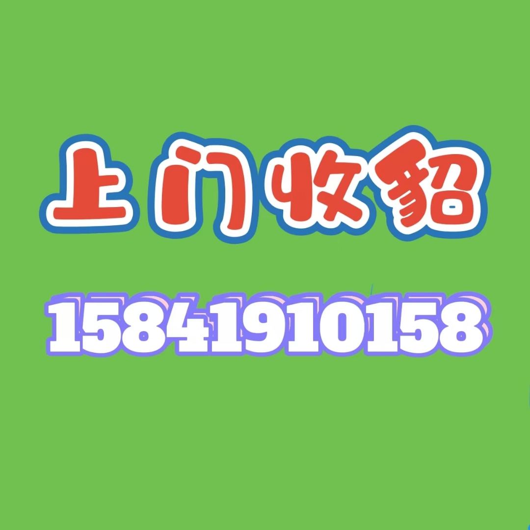 招远上门回收公众号微信(招远回收旧衣服电话) 招远上门回收公众号微信(招远回收旧衣服电话)